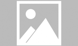 映山红电视剧,烽火岁月里的青春传奇